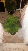 20170506_083618.jpg