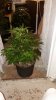 20170506_083630.jpg