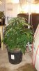 20170506_083556.jpg