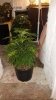 20170506_083611.jpg