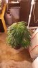 20170506_083539.jpg