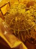 20170506_192028.jpg