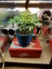 20170506_154214.jpg