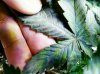 20170509_004103_1494304973013.jpg
