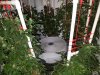 20170415_153110.jpg