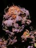 good stuff 014.jpg
