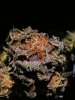 good stuff 015.jpg