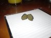 hash.jpg