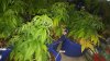 20170511_003732.jpg