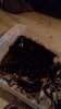 20170509_154257.jpg