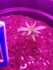 20170512_201153.jpg