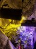 20170508_191539.jpg