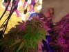 IMG_20170513_224813.jpg