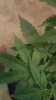 20170515_204334.jpg