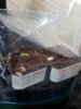 20170516_063235.jpg