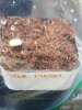 20170516_090701.jpg