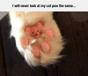18010260_1256248024470543_2265872390624372690_n.png