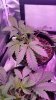 20170518_081529.jpg