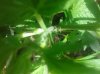 20170518_112029.jpg