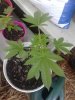 20170516_175831.jpg