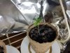 20170518_223346.jpg