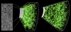IMG_0063.PNG