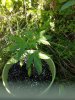 20170522_175736_1495642152709.jpg