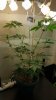 20170520_230034.jpg
