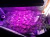 20170520_170658.jpg