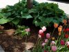 20170514_145750.jpg
