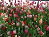 20170514_145749.jpg