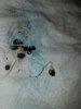 20170515_100456.jpg