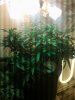 20170525_032234.jpg