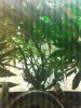 20170525_160253.jpg