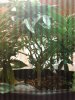 20170525_160432_1495746874310.jpg
