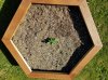 20170526_165307.jpg