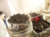 100_0226.jpg