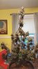 20170525_160751.jpg