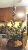 20170525_160745.jpg