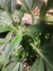 20170529_111409.jpg