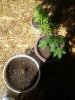 20170529_111458.jpg