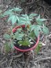 20170530_130159.jpg