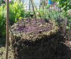 2017-05-31 11.50.00.jpg