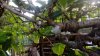 20170601_183411.jpg 20170601_183411.jpg