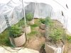 2017-06-01 10.56.14.jpg