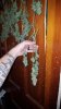 20170603_083042.jpg