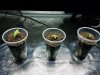 20170604_140944.jpg