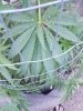 20170604_180412.jpg
