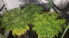 20170605_063603.jpg
