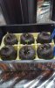20170606_220937.jpg